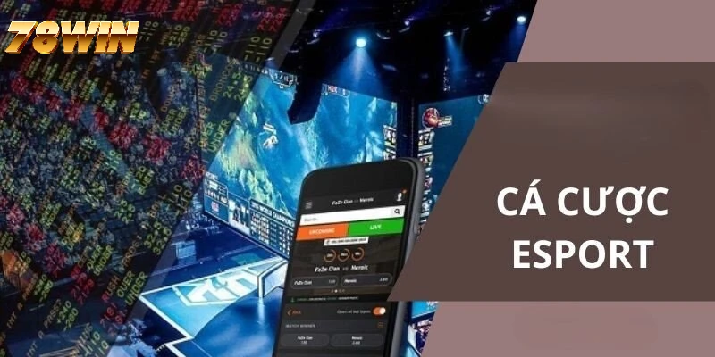Cá cược Esport 78WIN